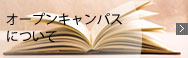 I[vLpXɂ